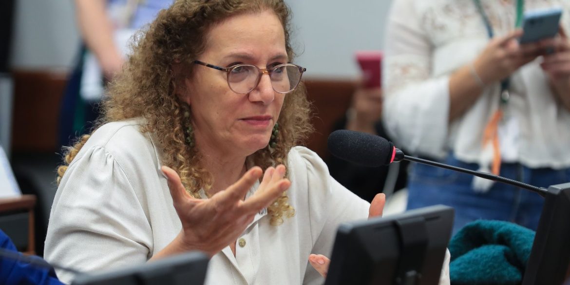 parlamentares-governistas-vao-aos-eua-apresentar-contraponto-a-direita
