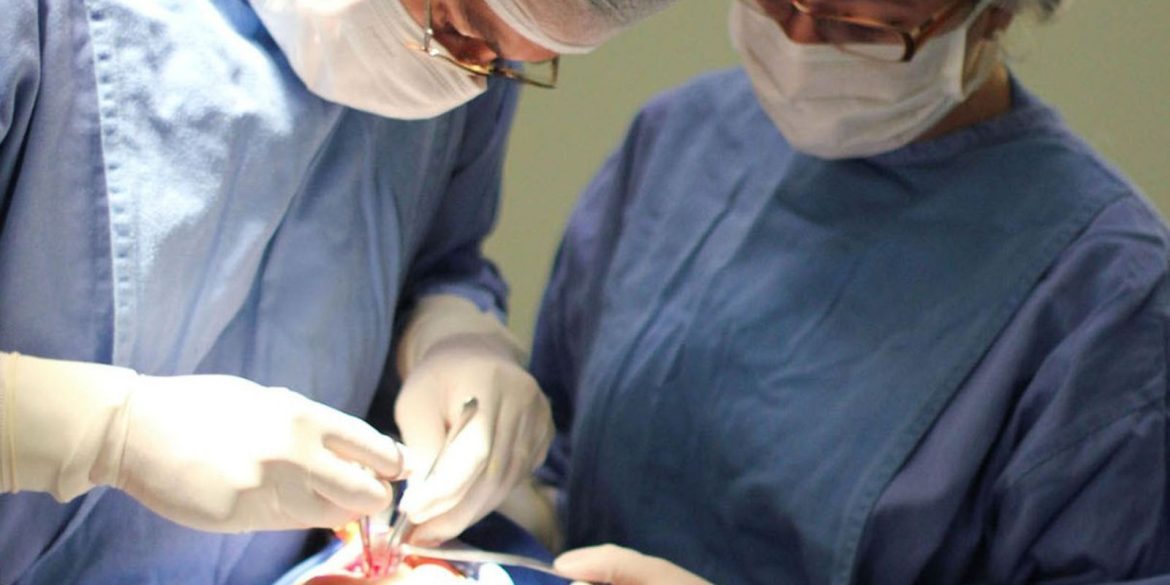 fissura-labiopalatina-demanda-tratamento-precoce-e-multidisciplinar