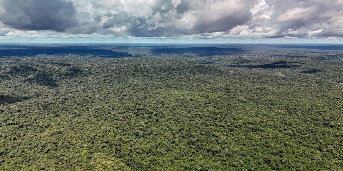 adversaria-em-campo,-noruega-e-parceira-de-acoes-ambientais-do-brasil