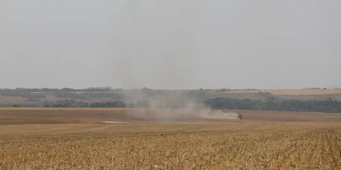 estudo-propoe-avancos-na-rastreabilidade-ambiental-da-soja-e-da-carne