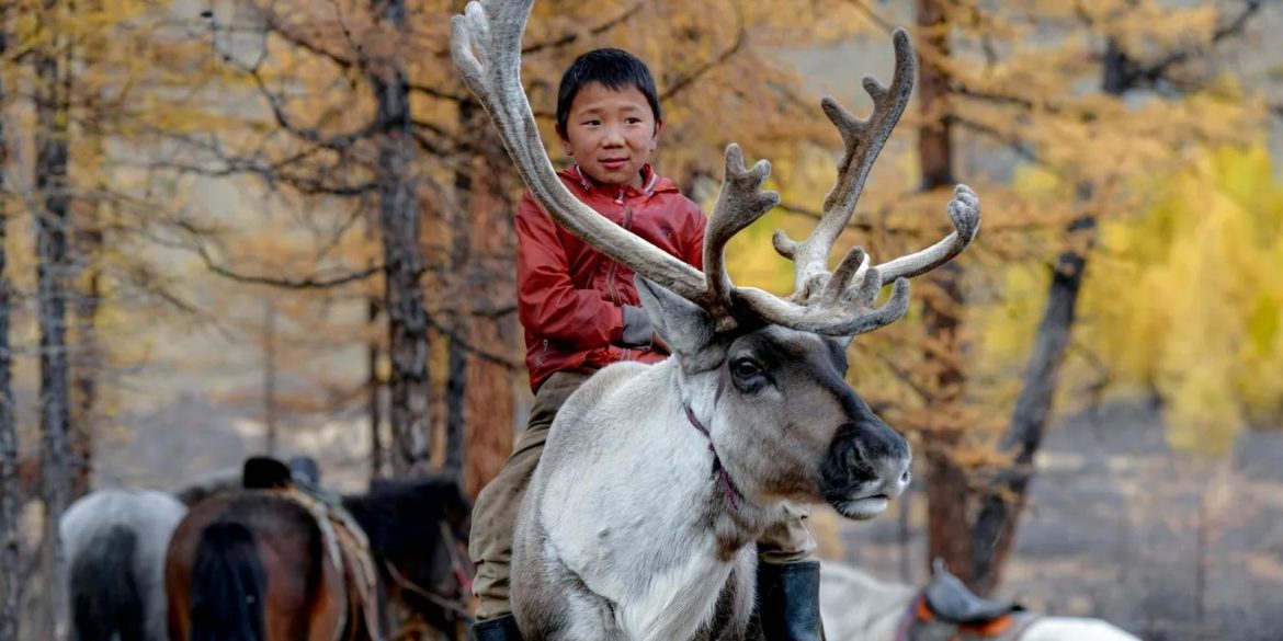 cop17-da-desertificacao-chega-a-mongolia,-pais-assolado-pelo-problema